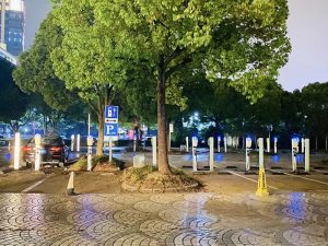 Best 50 Amp Electric Vehicle Chargers of 2025